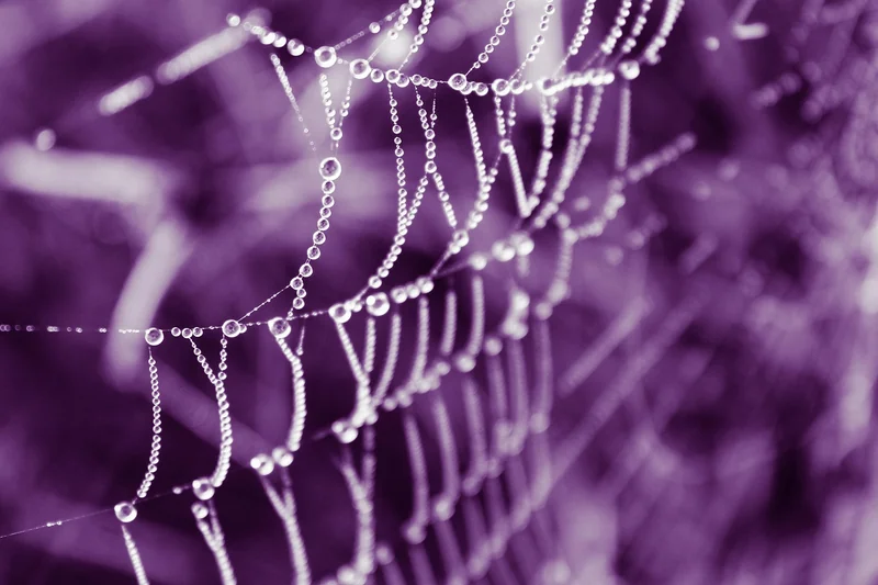 Core Web Vitals : les nouvelles métriques qui comptent